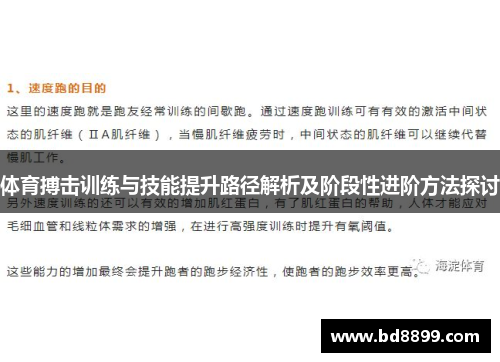 体育搏击训练与技能提升路径解析及阶段性进阶方法探讨