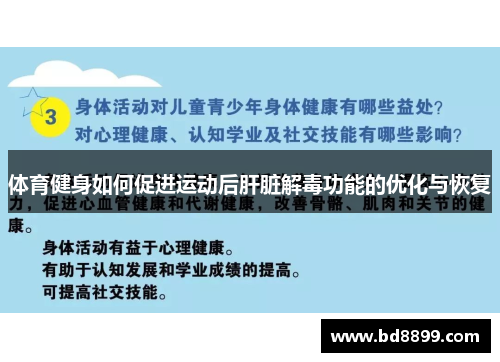 体育健身如何促进运动后肝脏解毒功能的优化与恢复