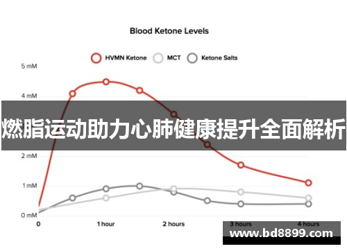 燃脂运动助力心肺健康提升全面解析